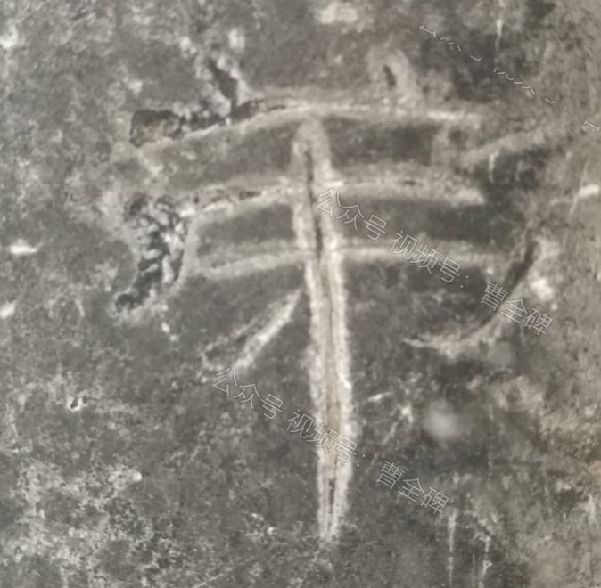 弟
