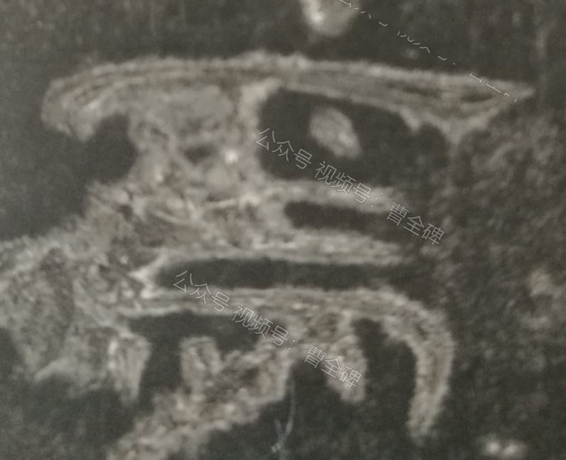 焉