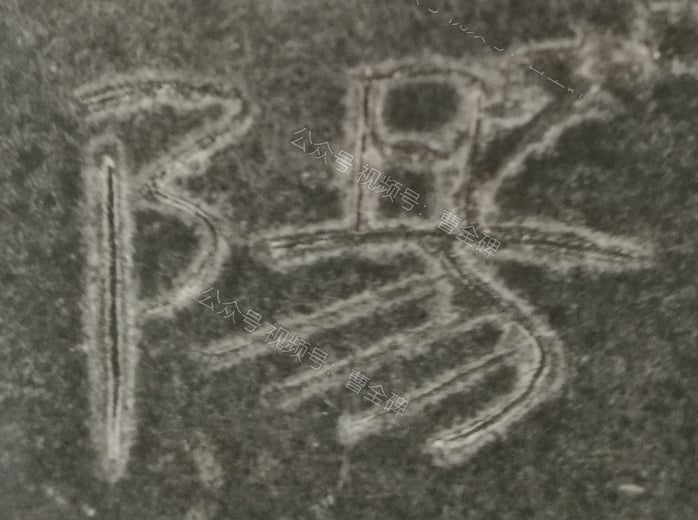 阳