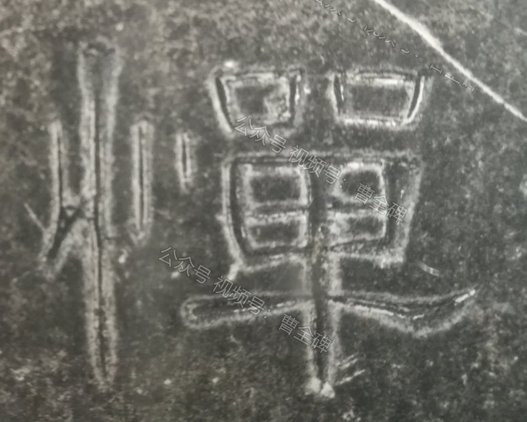 惮