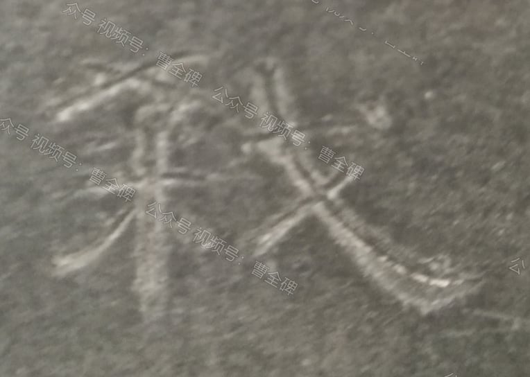 弑