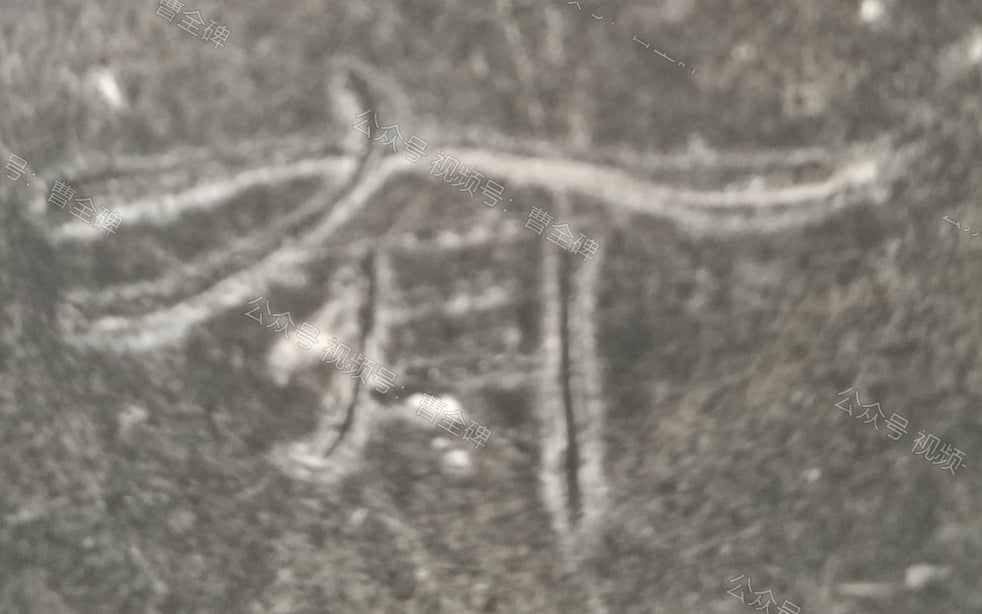 有