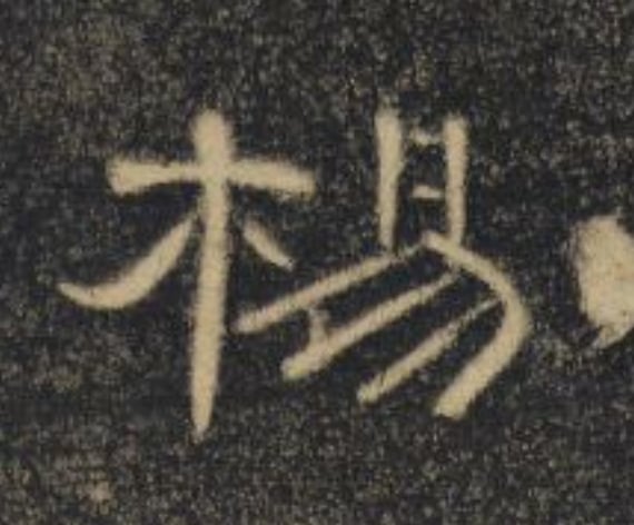 杨