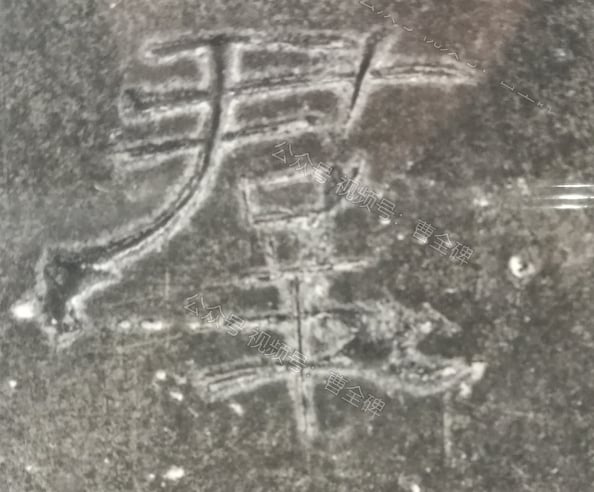 群