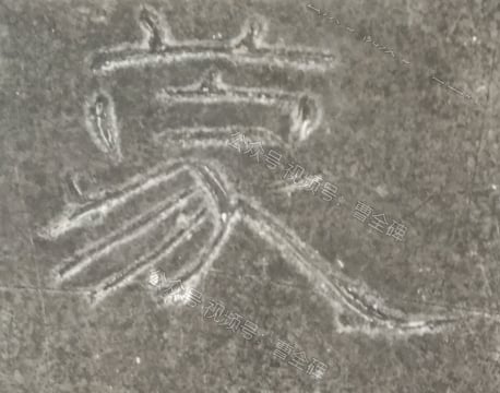 蒙