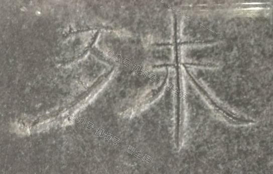 殊